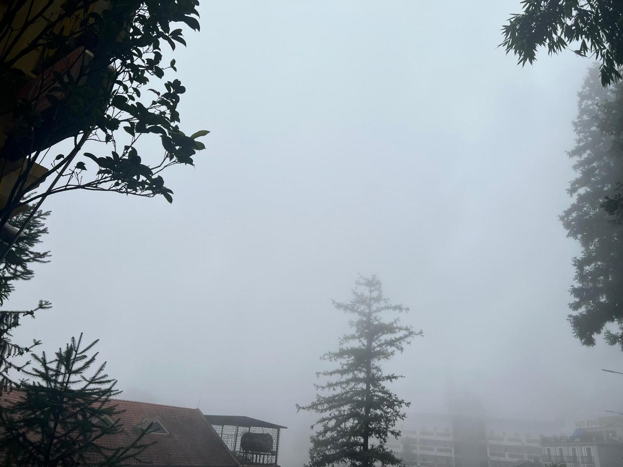 Sapa Elite Hotel Luaran gambar
